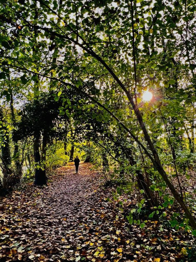Dapps Hill Haven - Between Bristol And Bath, Both 9 Mins By Train! كينشام المظهر الخارجي الصورة