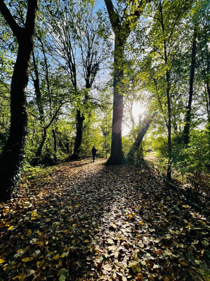 Dapps Hill Haven - Between Bristol And Bath, Both 9 Mins By Train! كينشام المظهر الخارجي الصورة